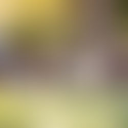 Top 10  Best Sexual Abuse Prevention Books for Kids