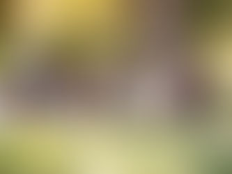 Top 10  Best Sexual Abuse Prevention Books for Kids